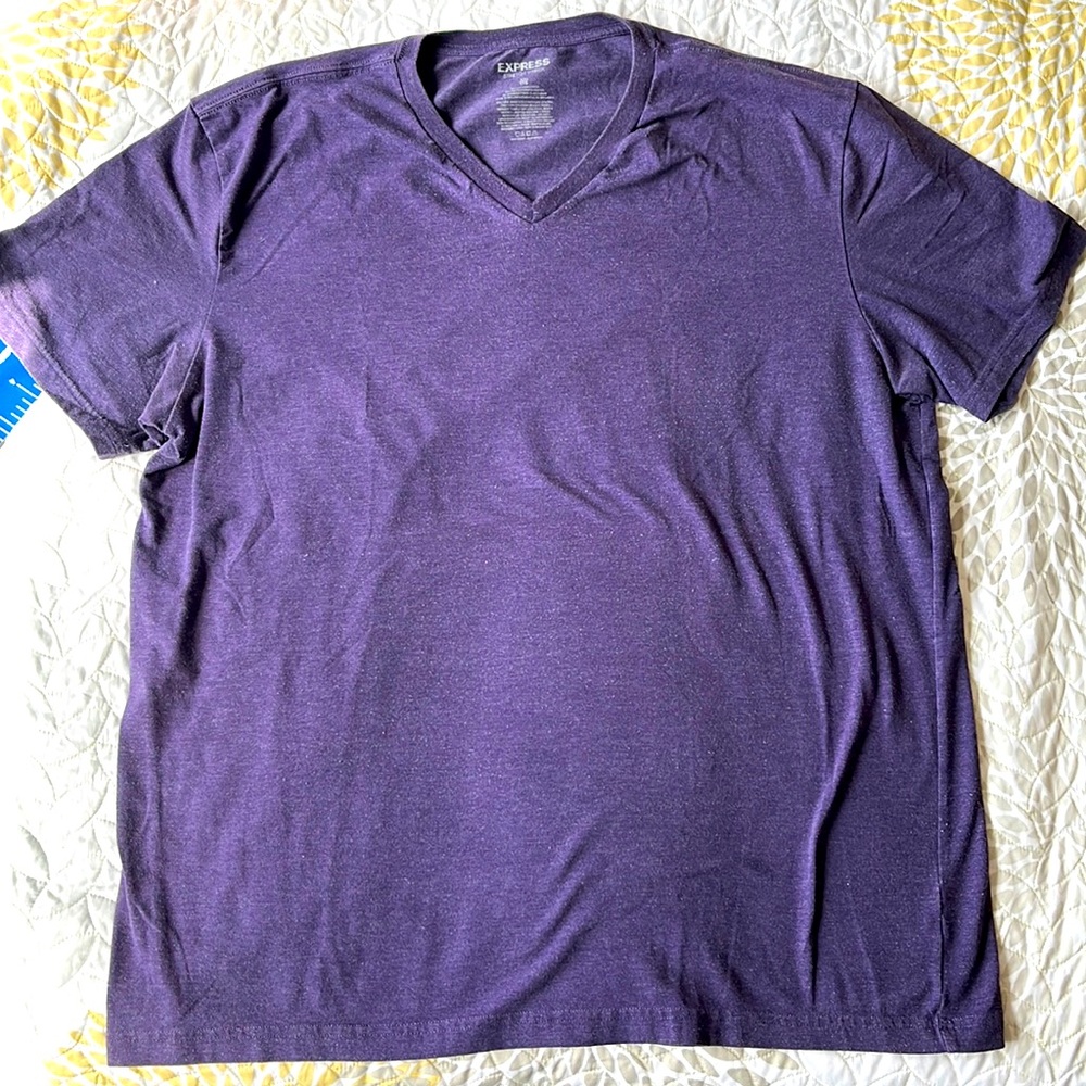 Express Stretch V-Neck Tshirt